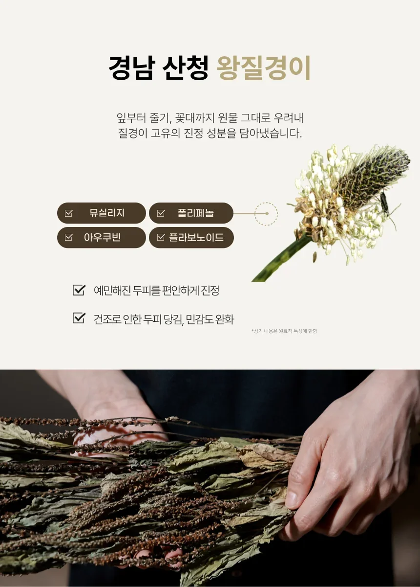 완경기두피변화 케어를 위한 이젠나 탈모증상완화 기능성 화장품 질경이 성분